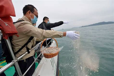 骨灰撒大海好不好